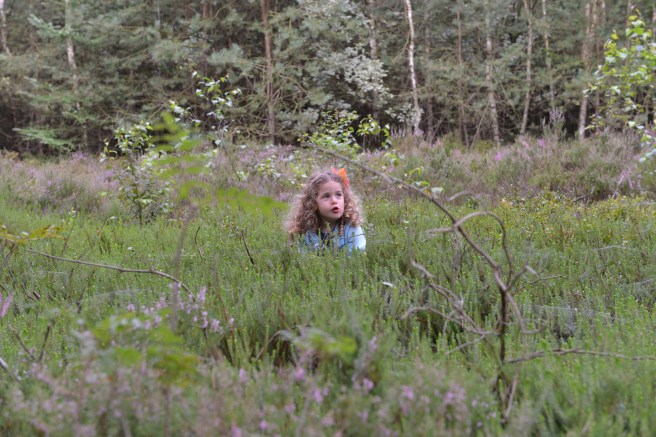 הולנד עם ילדים