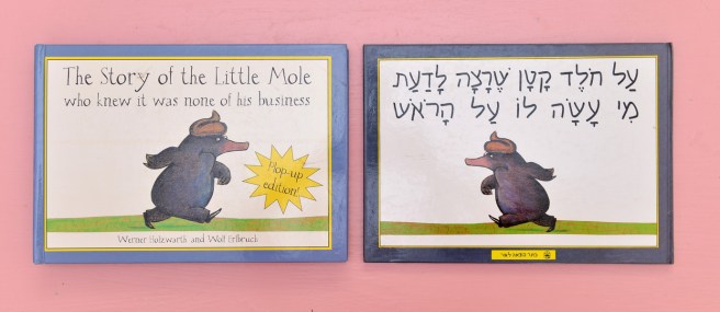 החולד הקטן שרצה לדעת מי עשה לו על הראש