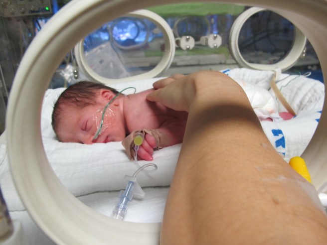 עלמה באינקובטור