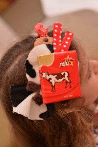 חחפושת שוקולד מנטה מסטיק גלית לוינסקי