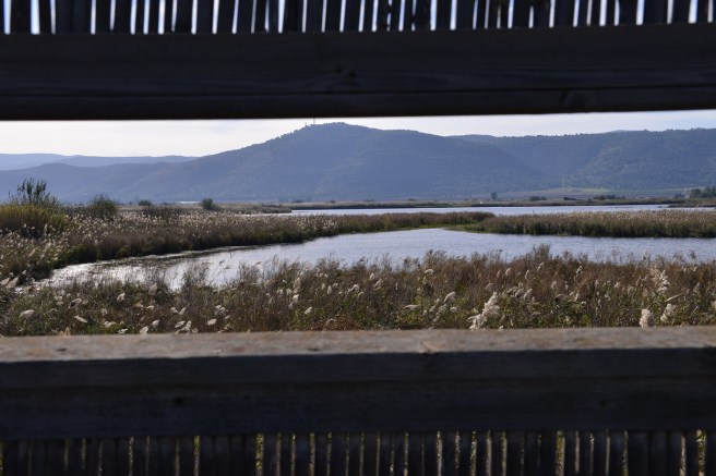 סופשבוע בשניר