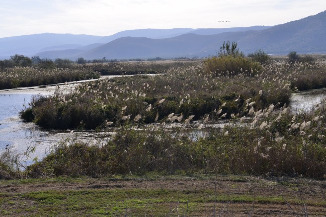 סופשבוע בשניר