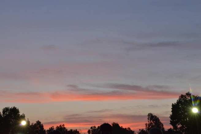 פסטיבל כדורים פורחים