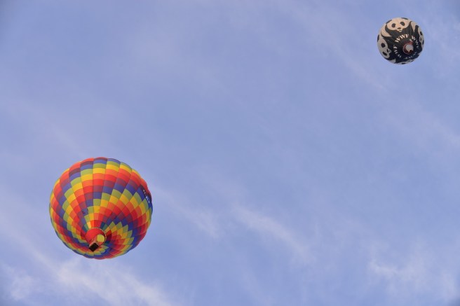 פסטיבל כדורים פורחים