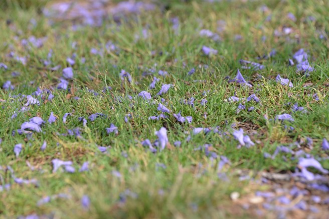הפארק הלאומי