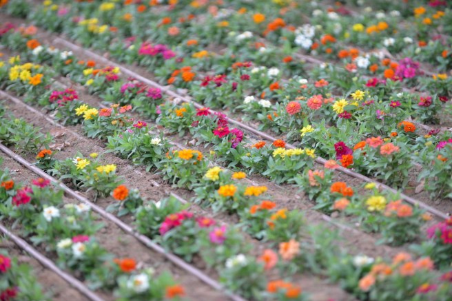 הפארק הלאומי
