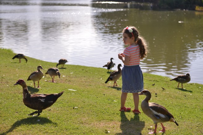 הפארק הלאומי