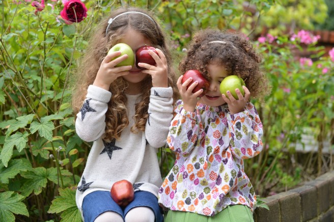 שנה טובה 2016