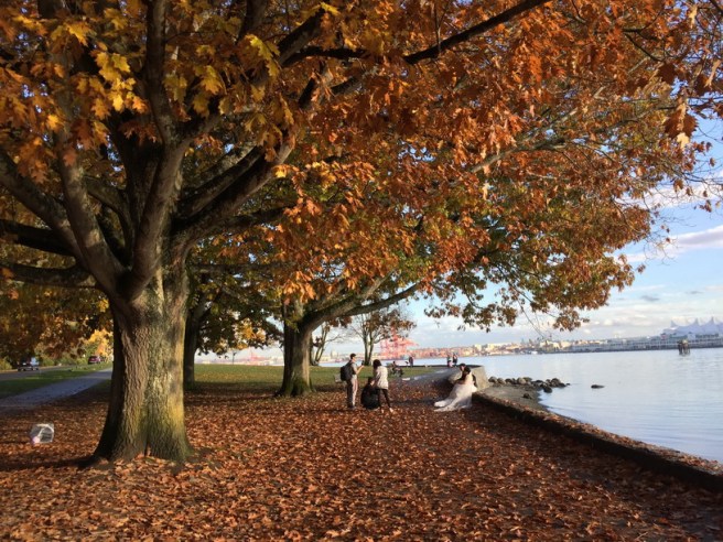 צילומי זוג בסטנלי פארק