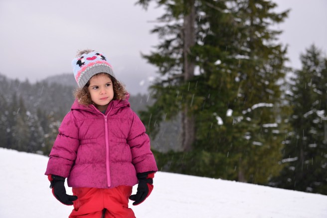 סקי על הר סימור