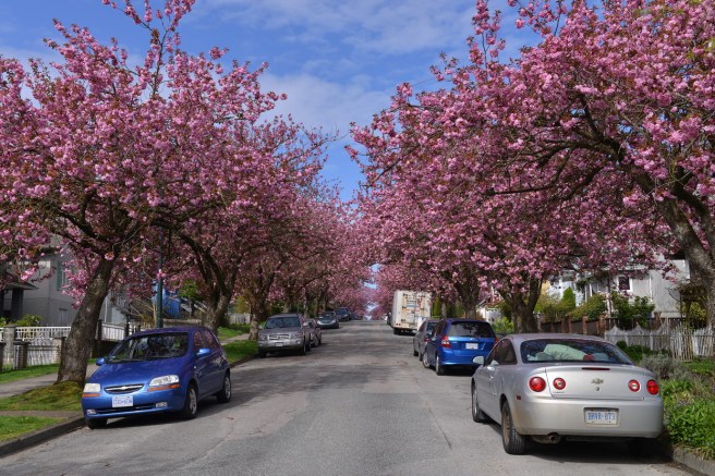 אביב בונקובר
