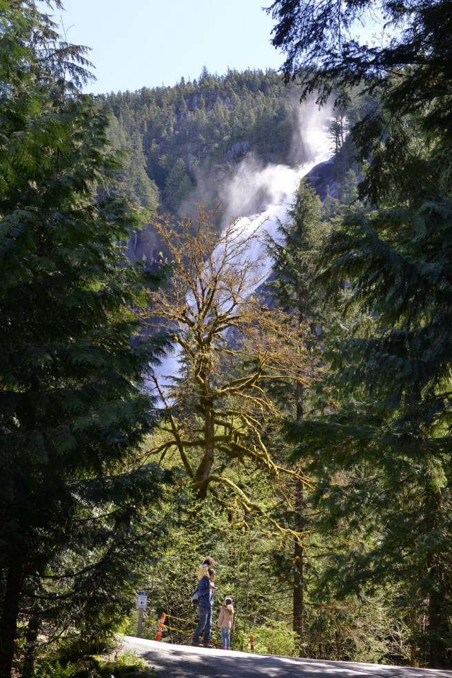 המשפחה המטיילת