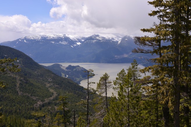 המשפחה המטיילת