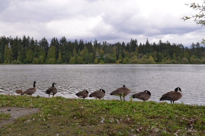 המשפחה המטיילת