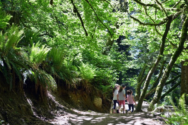 המשפחה המטיילת