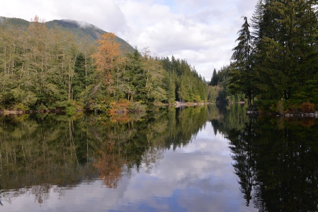 המשפחה המטיילת
