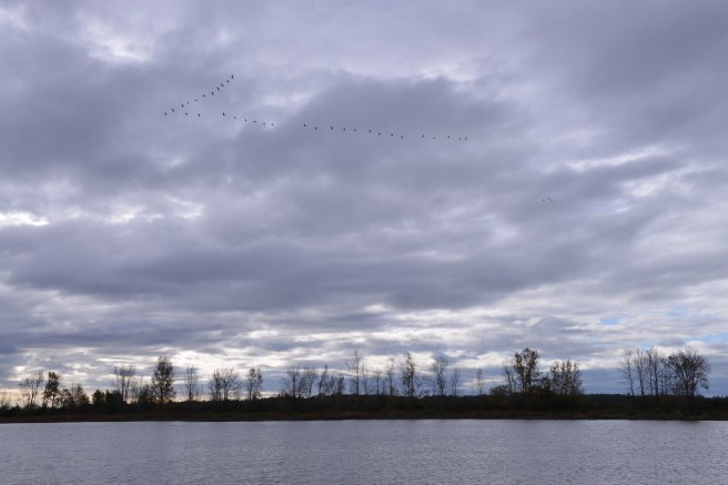 המשפחה המטיילת