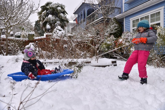 שלג גלית לוינסקי