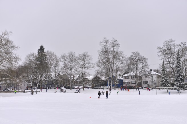 שלג גלית לוינסקי