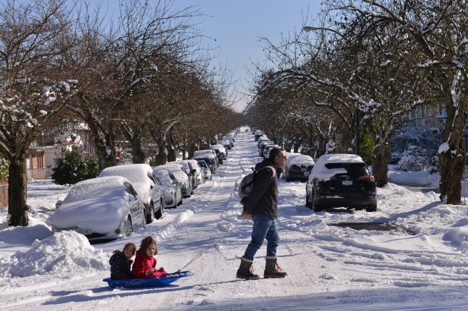 שלג גלית לוינסקי