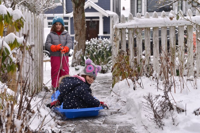 שלג גלית לוינסקי
