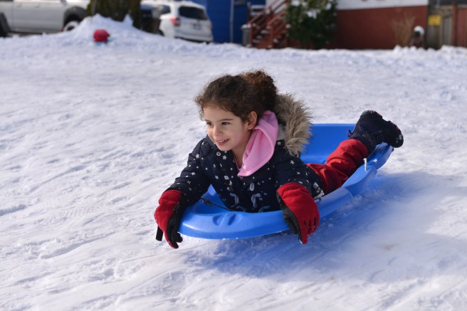 שלג גלית לוינסקי