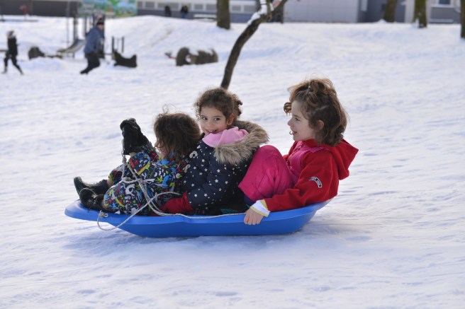 שלג גלית לוינסקי