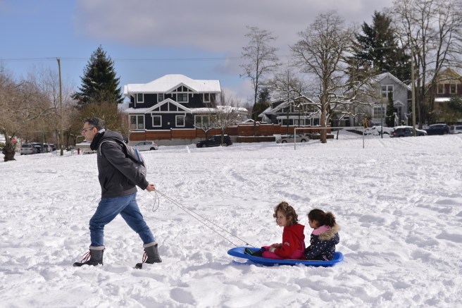 שלג גלית לוינסקי