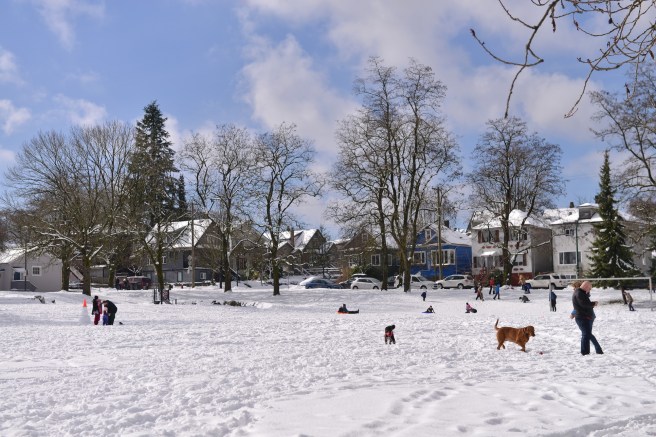 שלג גלית לוינסקי