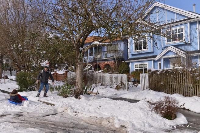 שלג גלית לוינסקי