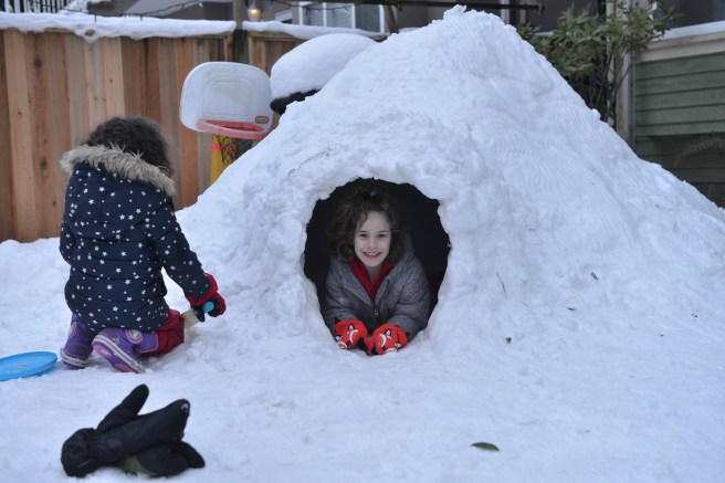 שלג גלית לוינסקי