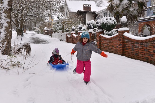 שלג גלית לוינסקי
