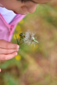 ביקור בישראל גלית לוינסקי