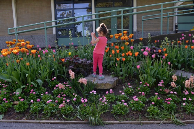 אביב גלית לוינסקי