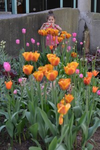 אביב גלית לוינסקי