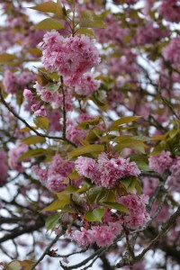 אביב גלית לוינסקי