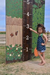 ילדות צילום גלית לוינסקי