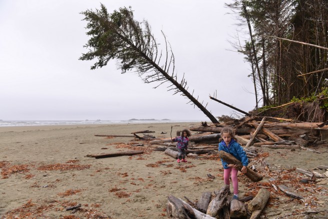 טופינו צילום גלית לוינסקי