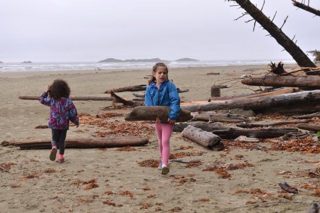 טופינו צילום גלית לוינסקי