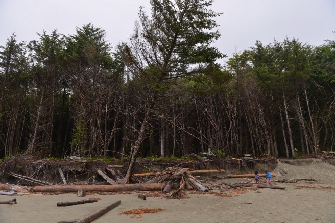 טופינו צילום גלית לוינסקי