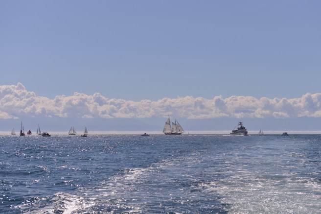 ונקובר איילנד צילום גלית לוינסקי