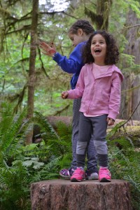 יער צילום גלית לוינסקי