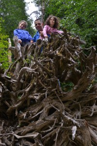 יער צילום גלית לוינסקי