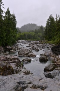נחל בדרך לטופינו צילום גלית לוינסקי