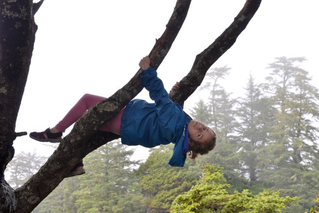 טופינו צילום גלית לוינסקי