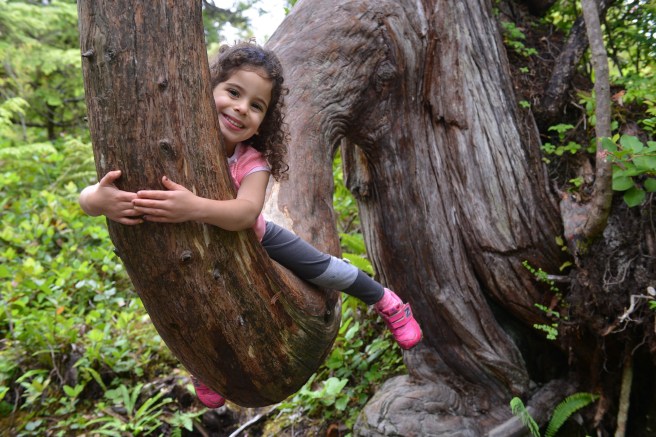 טופינו צילום גלית לוינסקי