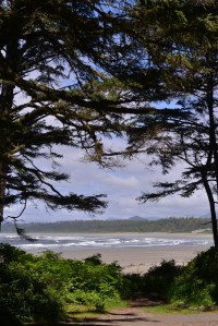 חוף טופינו צילום גלית לוינסקי