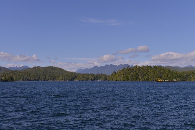 טופינו צילום גלית לוינסקי