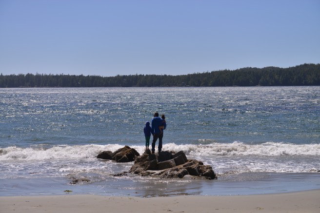 טופינו צילום גלית לוינסקי