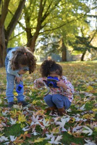 סתיו, שלכת, גלית לוינסקי
